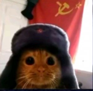 делаю танк КВ 2 примой эфир