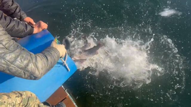 copy_180CDD6C-0E23-48D4-BE25-7F2A2B274AA8