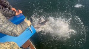 copy_180CDD6C-0E23-48D4-BE25-7F2A2B274AA8