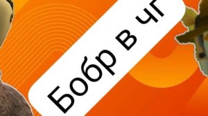 тутор на бобра