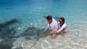 Со скатами на Мальдивах!