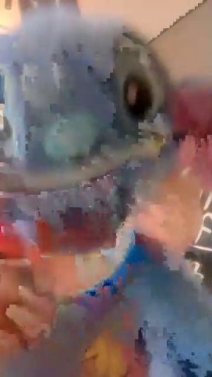 я арендовал дом