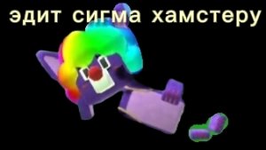 ЭДИТ СИГМА ХАМСТЕРУ 007