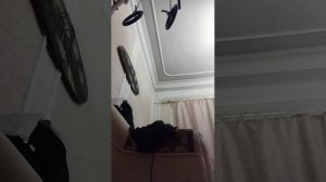 Набор химии и делаем опыты