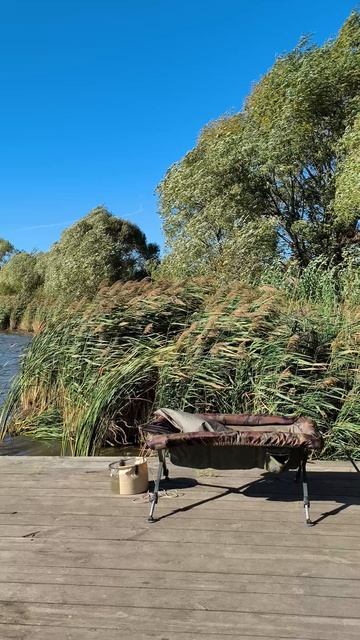 Карпфишинг, Carpfishing