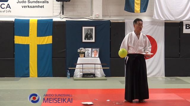 14.Aikido Philosophy, What Is Strength Shishiya Sensei Sundsvall 2016