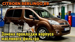 Замена ПКМФ на Citroen Berlingo B9