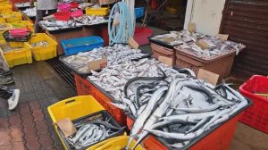 🐟 Рыбный рынок в Малайзии: цены с приятным шоком (сравниваем с нашими)