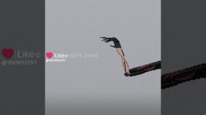 poppy playtime mem на русском