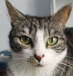 первая моя трансляция (с Олесяй !!!!)