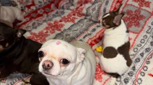 Доброго всем утречка и чудесного воскресенья.