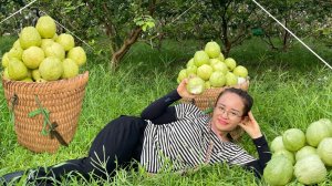 Собираю сахарные яблоки, гуаву и арахис. Продаю на рынке овощи и орехи. Энн