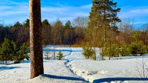 В лесочке, окрестности города , Асбест, Средний Урал