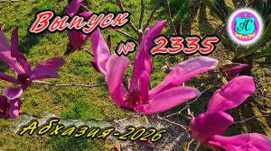 #Абхазия2026🌴 14.03.26г.🔥 Выпуск № 2335❗вчера +19°🌡ночью +6°🌡море +10,1°🐬