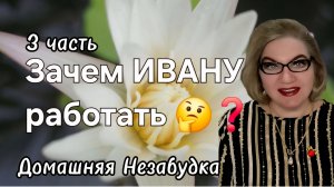 3 часть. Зачем ИВАНУ работать ❓️