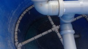 Стерлядь 2026 начало сезона