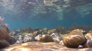 Холодный март на Черном море.