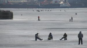 Корюшка в Питере. Сотня рыбаков на льду Невы