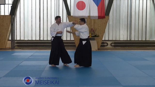12.Aikido Ai Hanmi Kotegaeshi Omote, Shishiya Sensei Pilsen Oktober 2018
