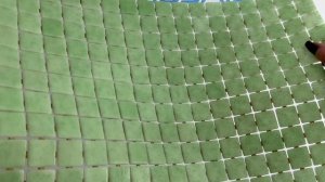 Мозаика 2507 SAFE