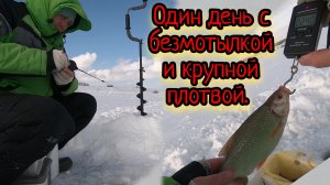 Нереальный жор плотвы.Безмотылка вне конкуренции.