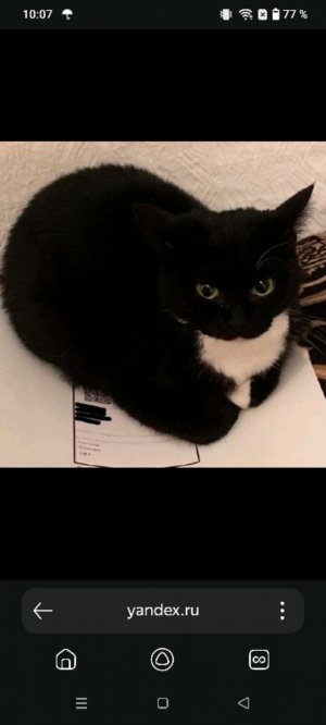 прямой эфир