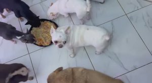 Все плотненько перекусили.