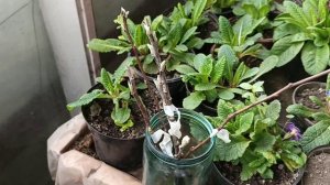 видеоотчёт февраль- март