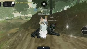 Пестроцветка смирилась, что в её жизни нет Тенегрива. 💔