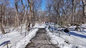 Центральный парк Нью-Йорка зимнее утро прогулка по заснеженным аллеям и атмосфера города ❄️