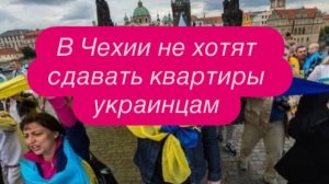 Скандал в США, который раздул украинец из- за его задержания. #новости #беженцыизукраины