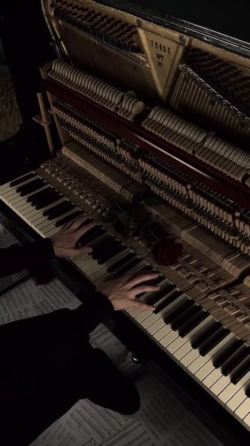 jane maryam #aesthetic #piano #calm #darkacademia смотреть онлайн