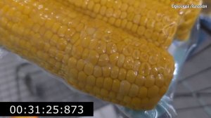 Как правильно выбирать и покупать кукурузу. Советы эксперта