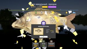 ОБЗОР НОВЫЕ РАЗДАЧИ ТРОФЕЕВ НА ЯНТАРКЕ ДОНЦЕ И ЯМЕ СУПЕР ФАРМЫ МЕДНОЕ АХТУБА В РУССКОЙ РЫБАЛКЕ 4 РР4