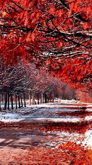 Как странно друг мой