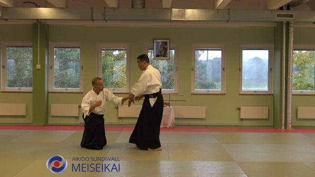 12.Aikido Ken no Tebiki Ai Hanmi Nikyo Shishiya Sensei Malmö 2017