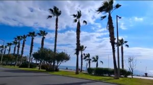 ИННА СУДАКОВА ПРОГУЛКА И ЖАРЕНЫЕ КРЫЛЫШКИ