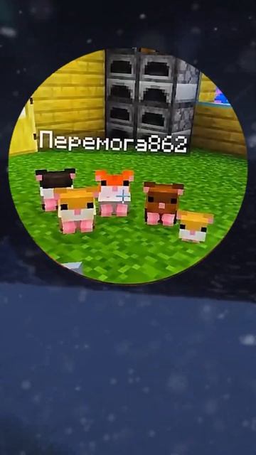   мемы memes mems mem shorts youtubeshorts кружочки мемчик  веселое