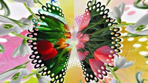 Весна! Очаровательные тюльпаны 4! Киностудия Мудрого Кота Тимофея!