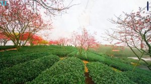 Best Melodies Euro Disco 2 -  Instrumental  -  HD