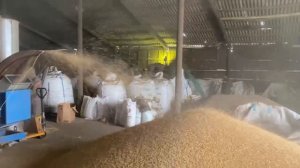 Очистка ячменя на ЗСК - 70