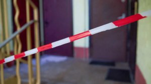 Дочь убитой мошенником москвички отвлекала мать по просьбе преступника