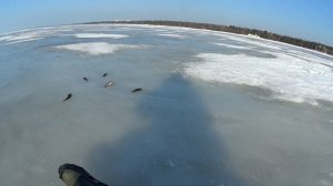 Рыбалка в Зеленогорске 14.3.26.