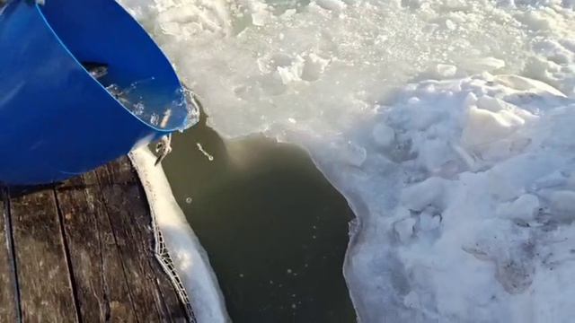 Запуск форели 14.03 Водопад. смотреть онлайн