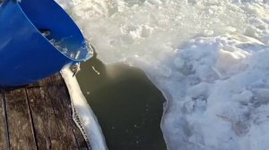 Запуск форели 14.03 Водопад.