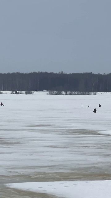 Рыбаки еще сидят! Кострома.Волга. Зимняя рыбалка.