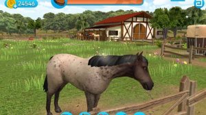 ТРЕНЕРОВКО,НО БЕЗ СЛОВ!?/НОВЫЙ ВЛОГ/😥😓🐎🐴