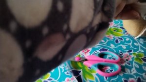 Занимаюсь пересадкой цветов.