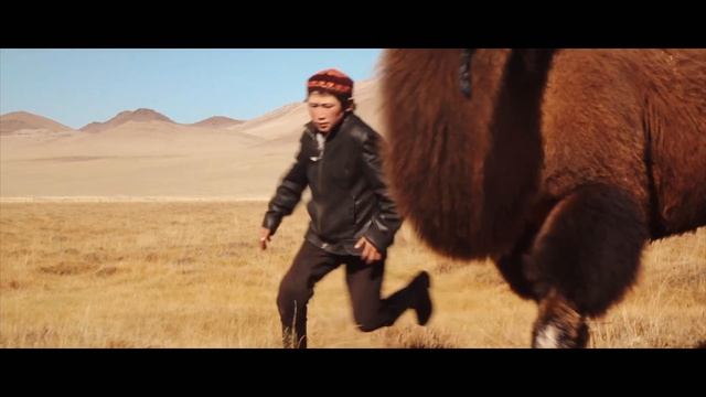 Семья степей