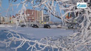 Итоги Нефтегазового форума 2026